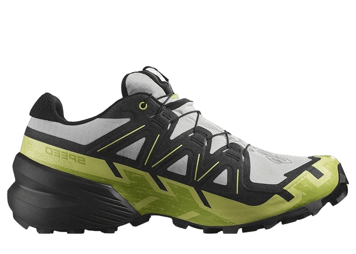 Salomon Speedcross 6 Gore-Tex Gray Green Black