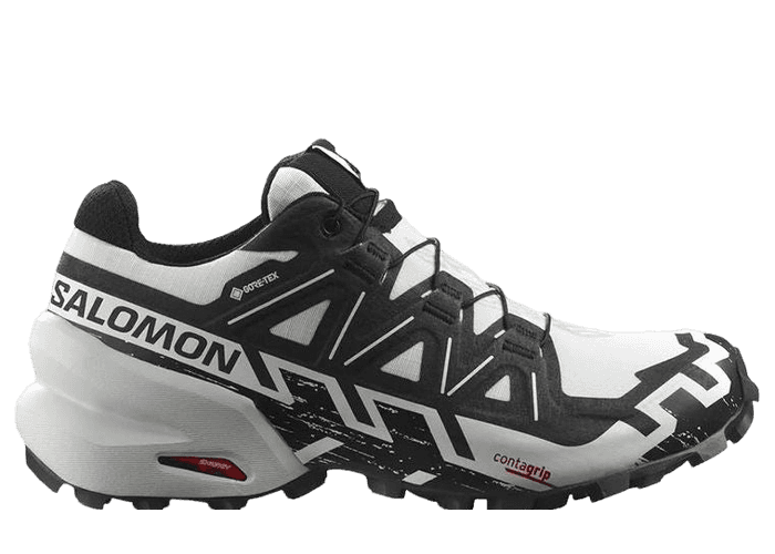 Salomon Speedcross 6 Gore-Tex Grey (W)