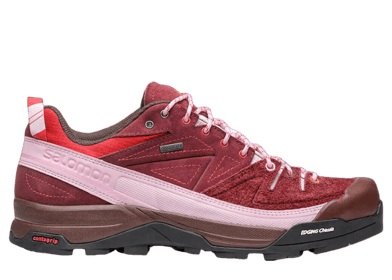 Salomon X-Alpages GTX The Broken Arm