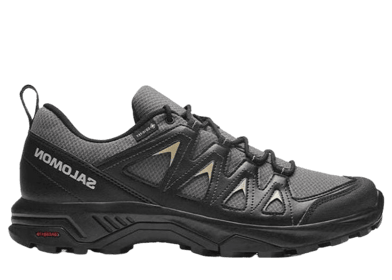 Salomon X Braze GTX Black