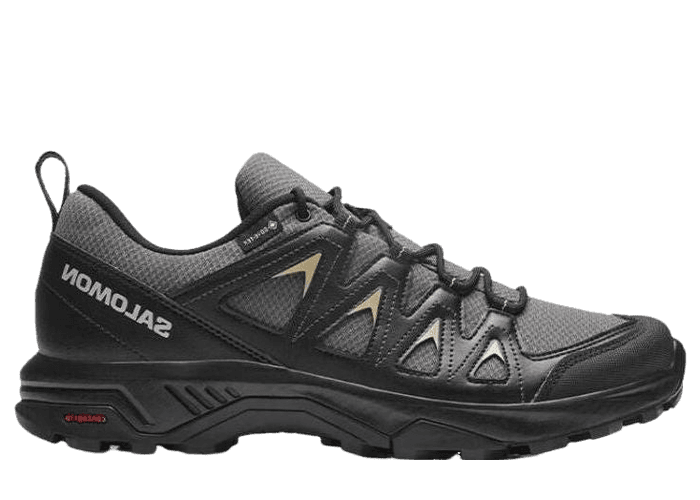 Salomon X Braze GTX Black