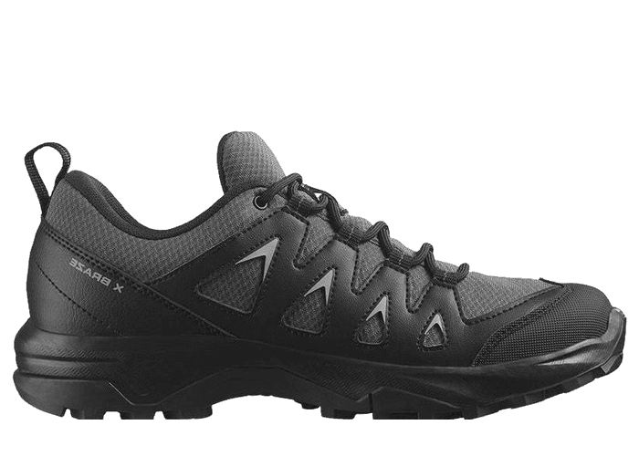 Salomon X Braze GTX (W)