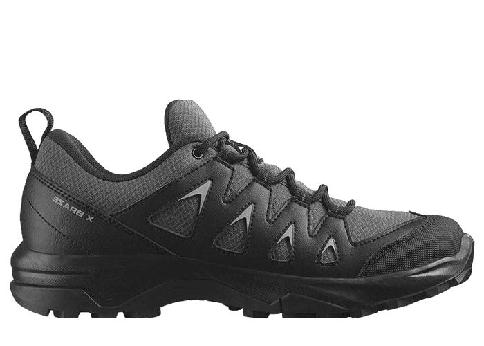 Salomon X Braze GTX (W)