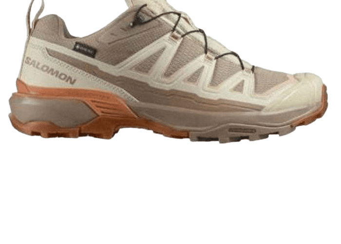 Salomon X ULTRA 360 EDGE Goretex Sneakers Tan (W)