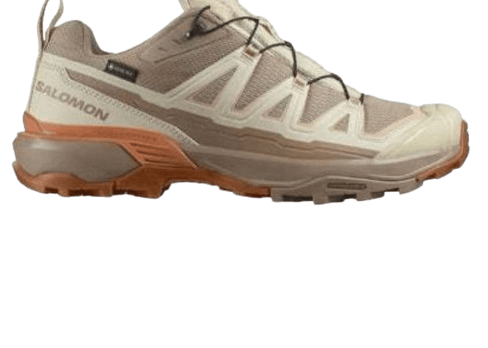 Salomon X ULTRA 360 EDGE Goretex Sneakers Tan (W)