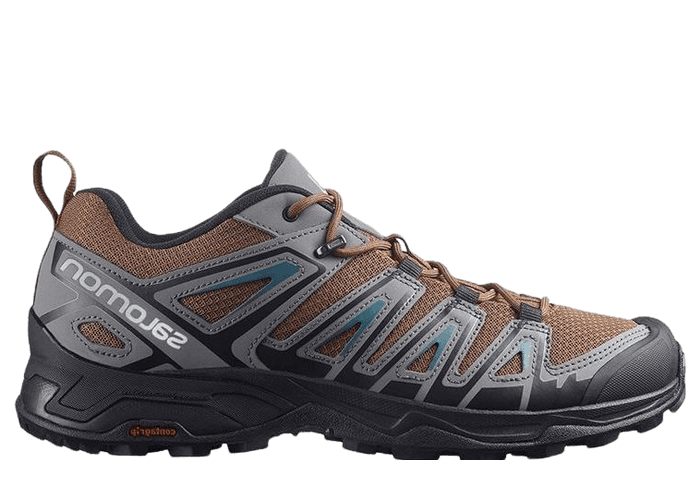 Salomon X Ultra Pioneer AERO Marrn