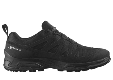 Salomon X Ward Leather GTX Black