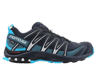 Salomon Xa Pro 3d Gtx Black Blue