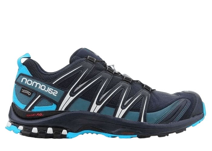 Salomon Xa Pro 3d Gtx Black Blue