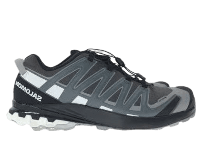 Salomon XA PRO 3D V8 GTX Magnet Black - L41735400 Raffles & Where