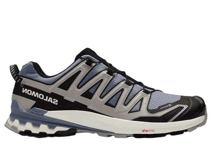 Salomon XA Pro 3D V9 GORE-TEX 'Flint Stone Ghost Grey'