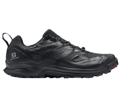 Salomon XA Rogg 2 GTX Black