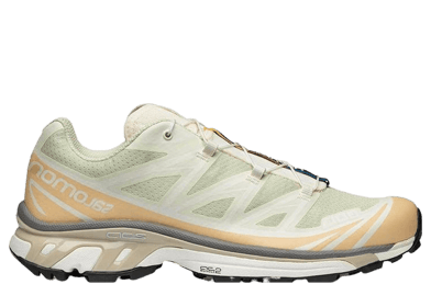 Salomon XT-6 'Aloe Wash Hazelnut'