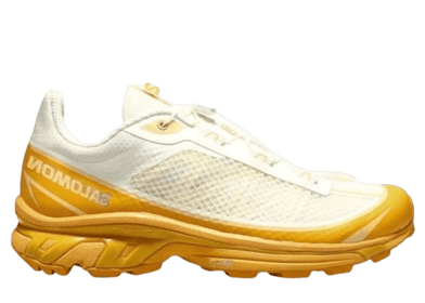 Salomon XT-6 FT 'Vanilla Ice Hazelnut'