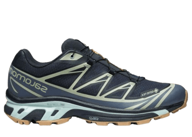 Salomon XT-6 GORE-TEX 'Carbon Desert Sage'