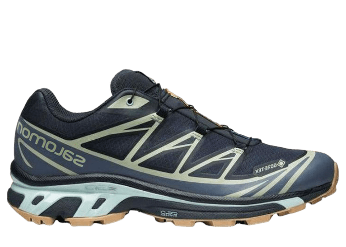 Salomon XT-6 GORE-TEX 'Carbon Desert Sage'