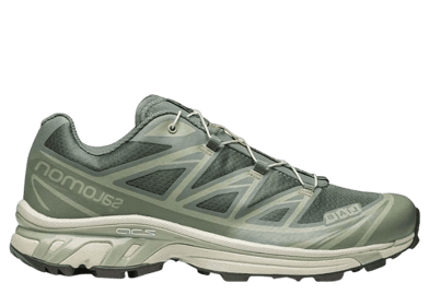 Salomon XT-6 'Laurel Wreath'