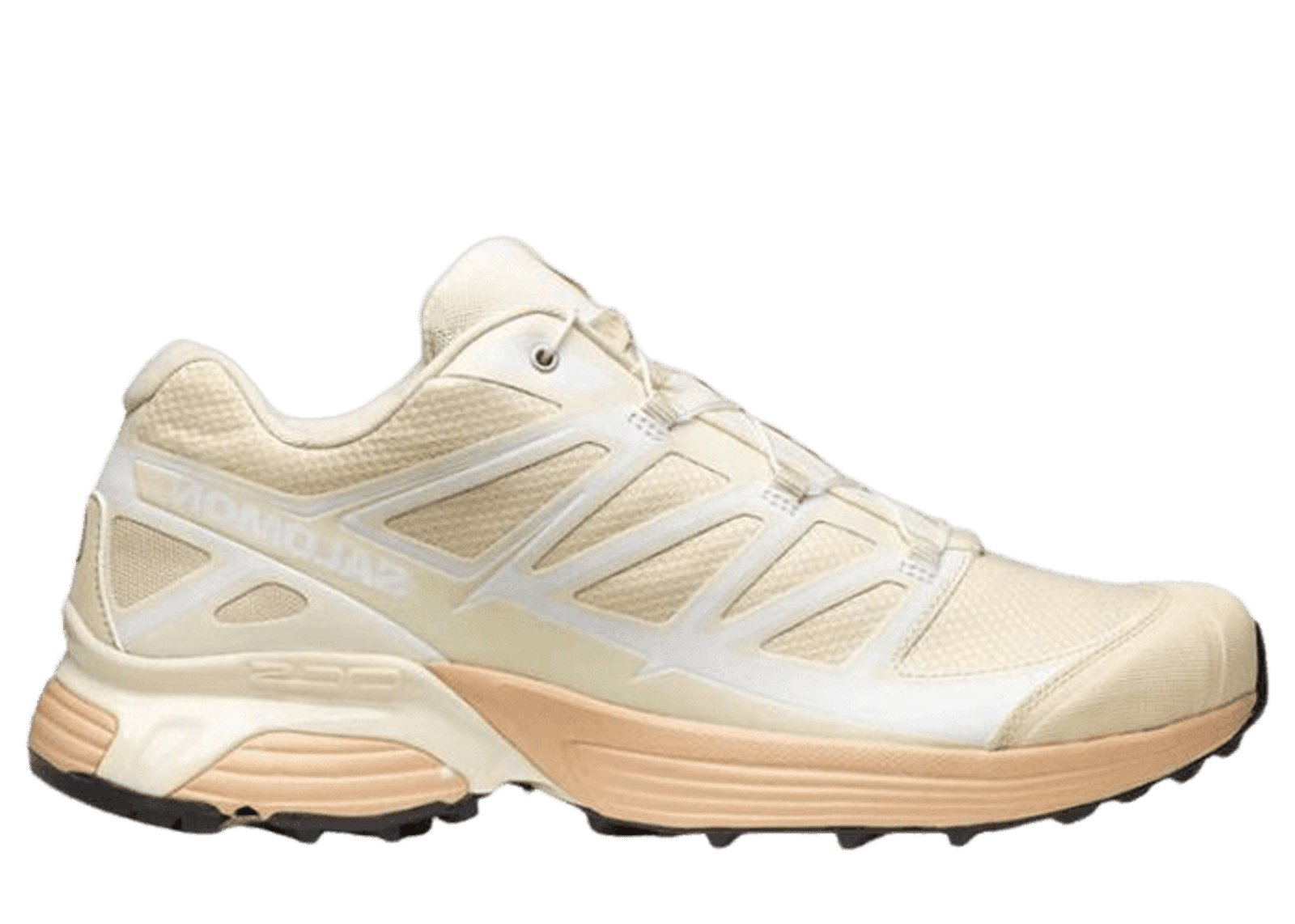 Salomon XT-Pathway Yellow Brown