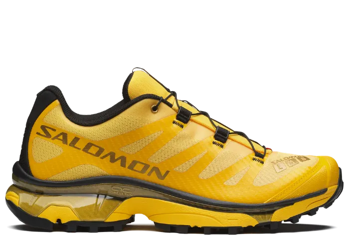 Trending sneaker
