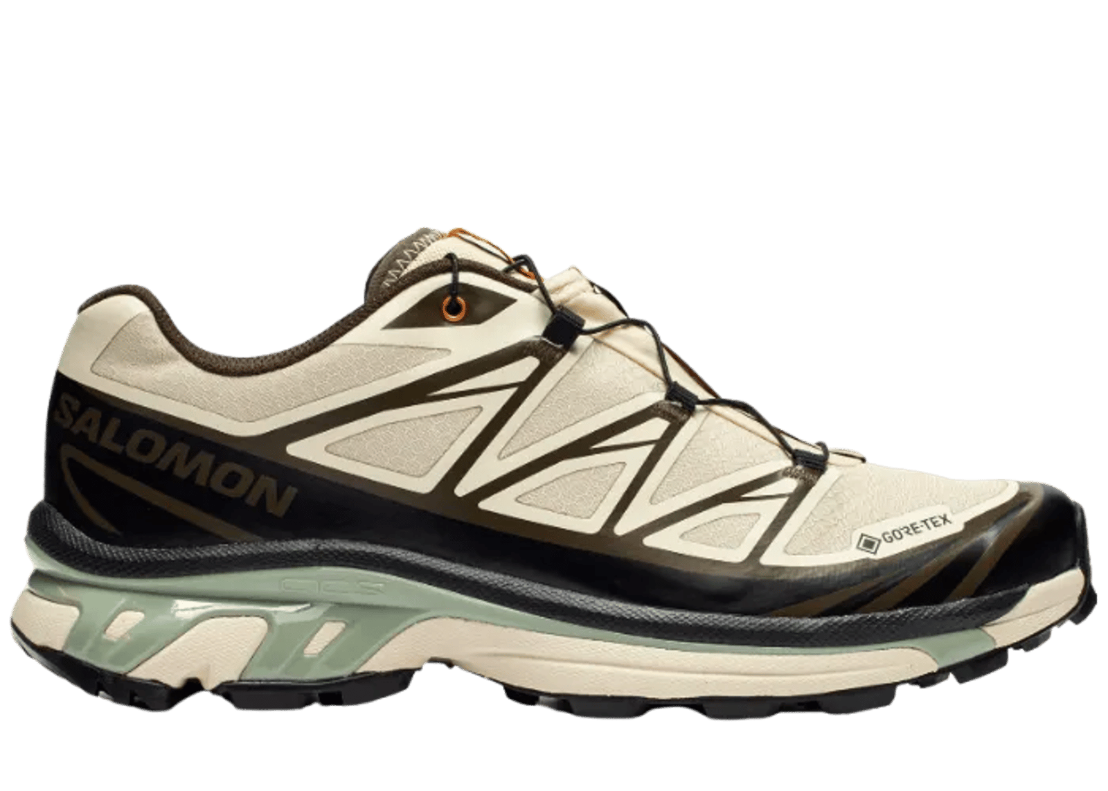 Salomon XT-6 Gore-Tex SNS