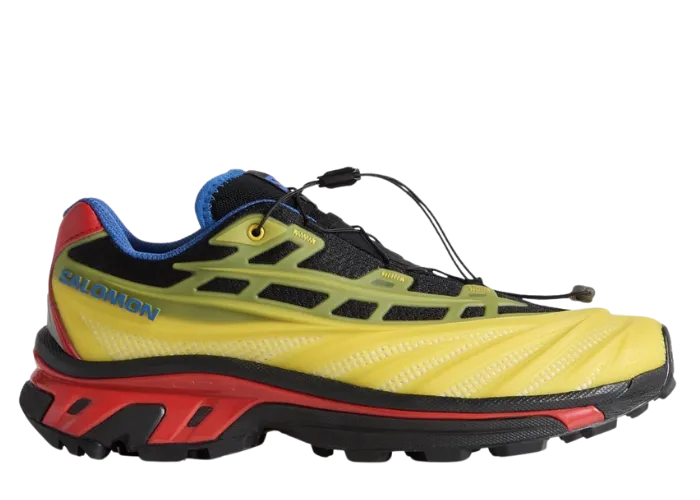 Trending sneaker