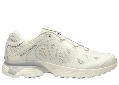 Salomon XT-Whisper Void Vanilla Ice Footwear Silver