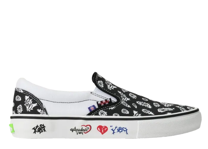Vans Skate Slipon punkandyo Black
